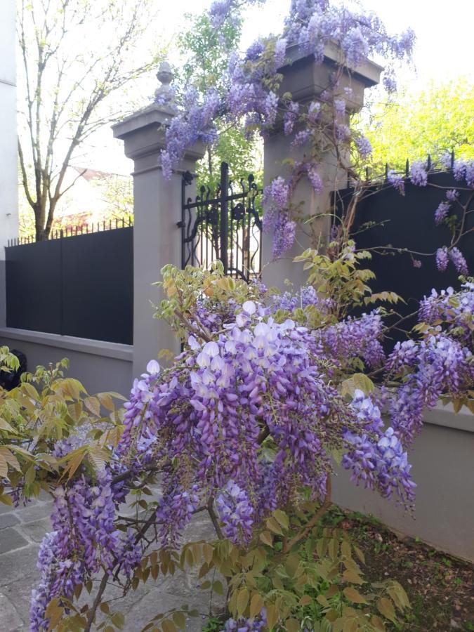 Villa Fiorentino Падуа Екстериор снимка