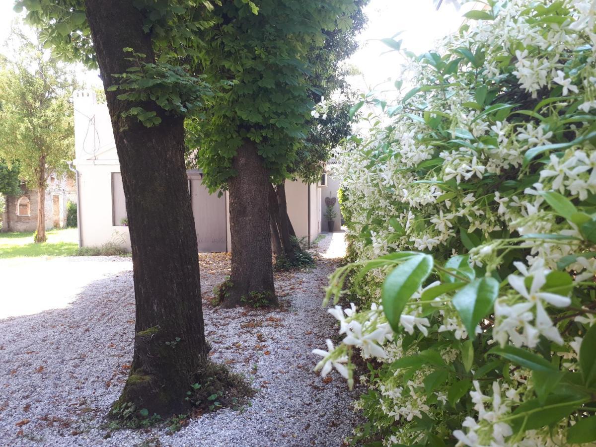 Villa Fiorentino Падуа Екстериор снимка